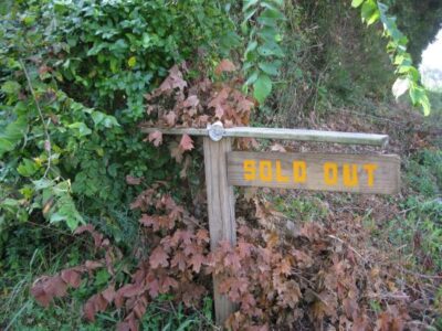 Robber Bees and the Dearth of Summer Image